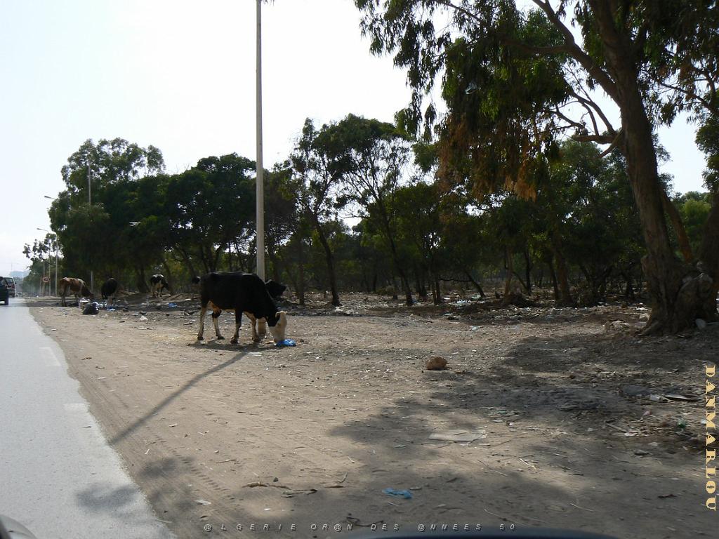 Canastel AUX ALENTOURS .jpg